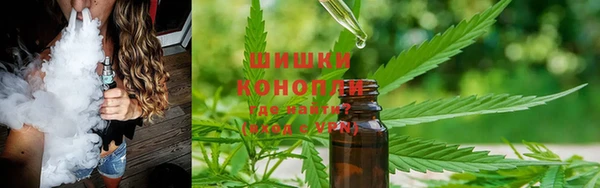 стафф Нефтекумск