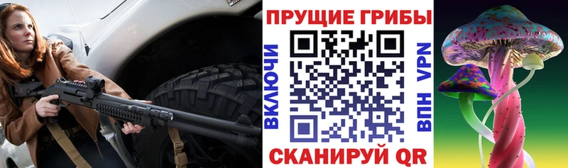 Псилоцибиновые грибы ЛСД  OMG маркетплейс  Зерноград 